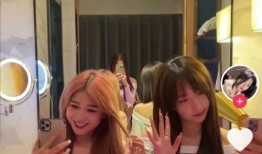 网红黑料视频,视频背后的真相与反思